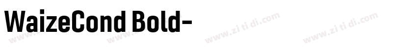 WaizeCond Bold字体转换 WaizeCond Bold字体转换